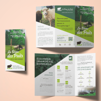 PLV flyers brochures